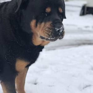 Meet your Posher, Kat